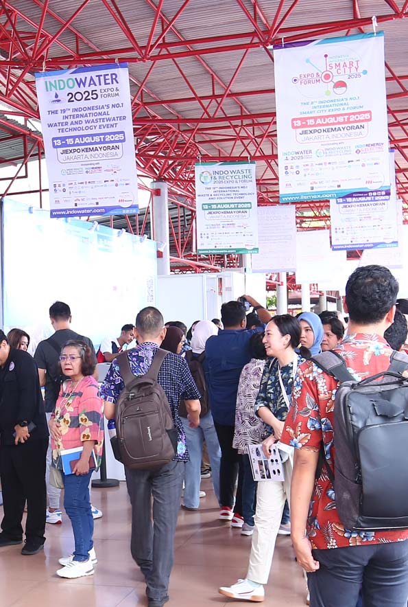 Indo Firex Visitors